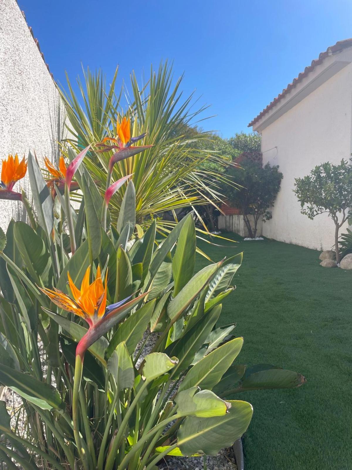 Belle Villa Classee 4 Etoiles Proche Plage Avec Jardin Saint-Cyprien  Exterior foto