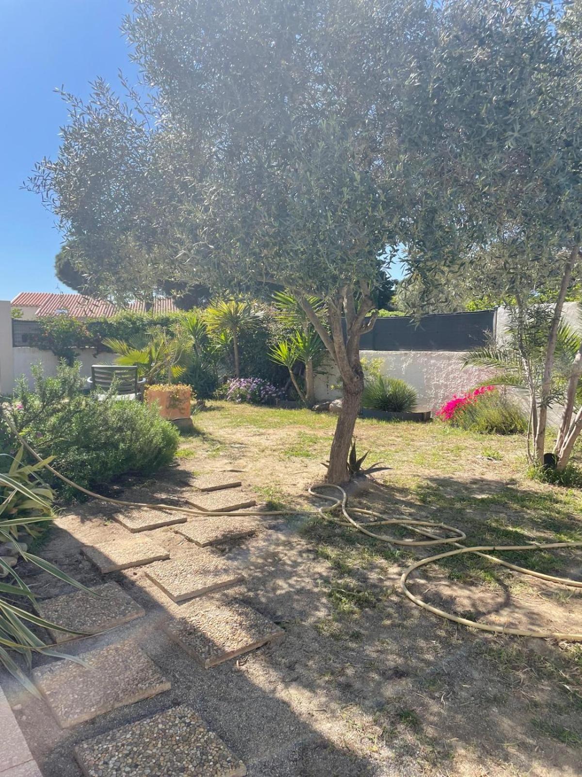 Belle Villa Classee 4 Etoiles Proche Plage Avec Jardin Saint-Cyprien  Exterior foto